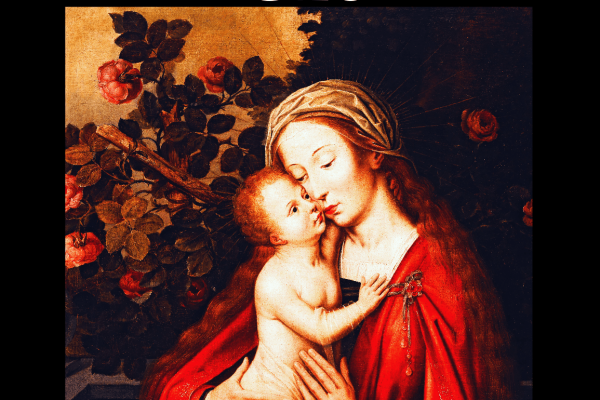 Znorovszky_CfP_Mary_Senses_2024_Poster_PNG