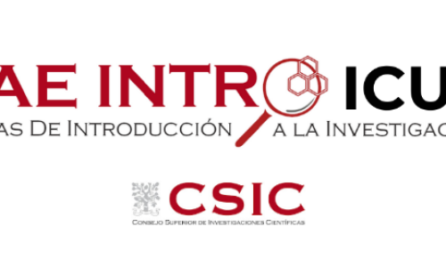 formacion-universitaria-jaeintroicu