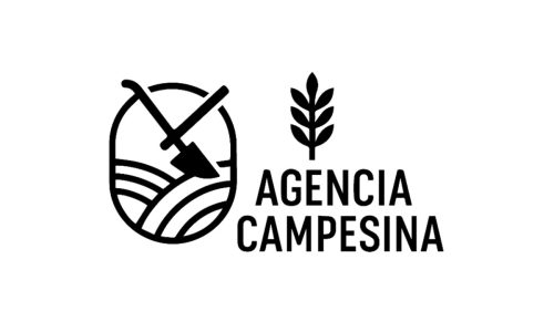 portada6